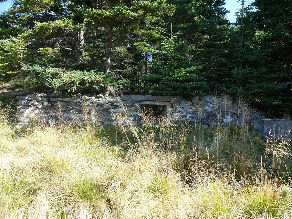 Bâtiment en pierre abandonné au milieu du bois.