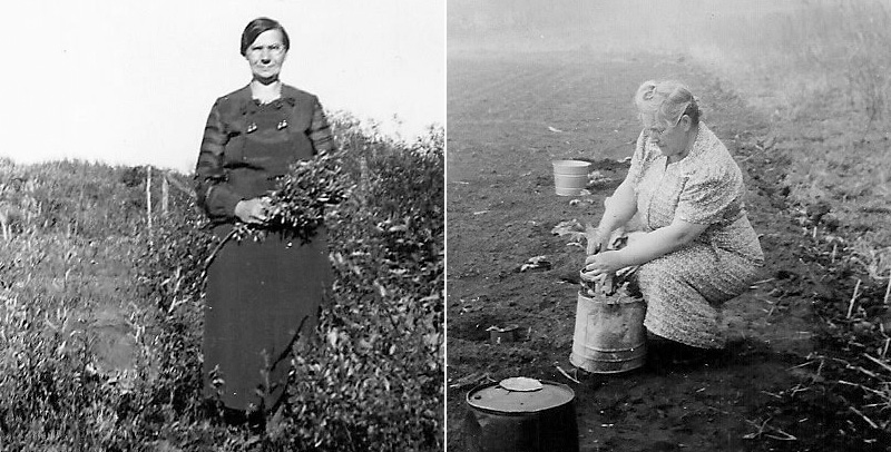 Une femme âgée vêtue d'une longue robe se tient dans un champ d'herbes hautes, une autre femme âgée est agenouillée devant un seau.