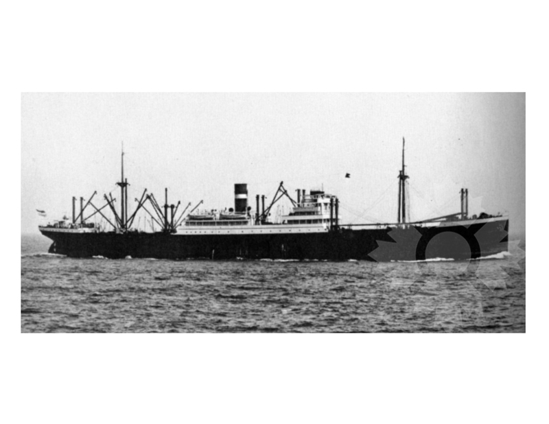 Photo en noir et blanc du navire Dinteldyk (SS) (1922-1945)