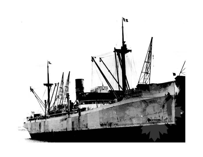 Photo en noir et blanc du navire Kristianfjord (SS) (1921-1955)