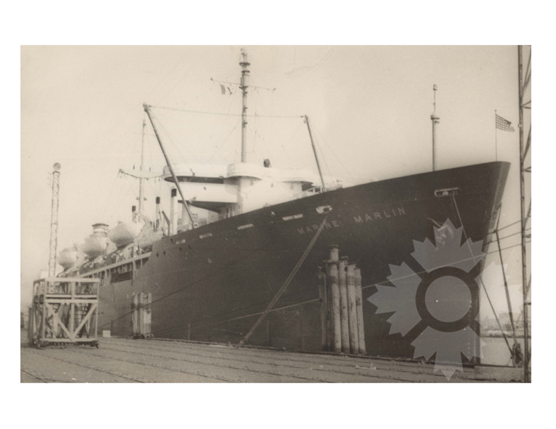 Photo en noir et blanc du navire Marine Marlin (USAT) (1945-1965)