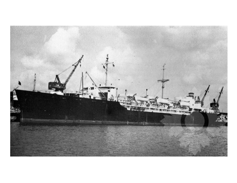 Photo en noir et blanc du navire Requin marin (USAT) (1945-1967)