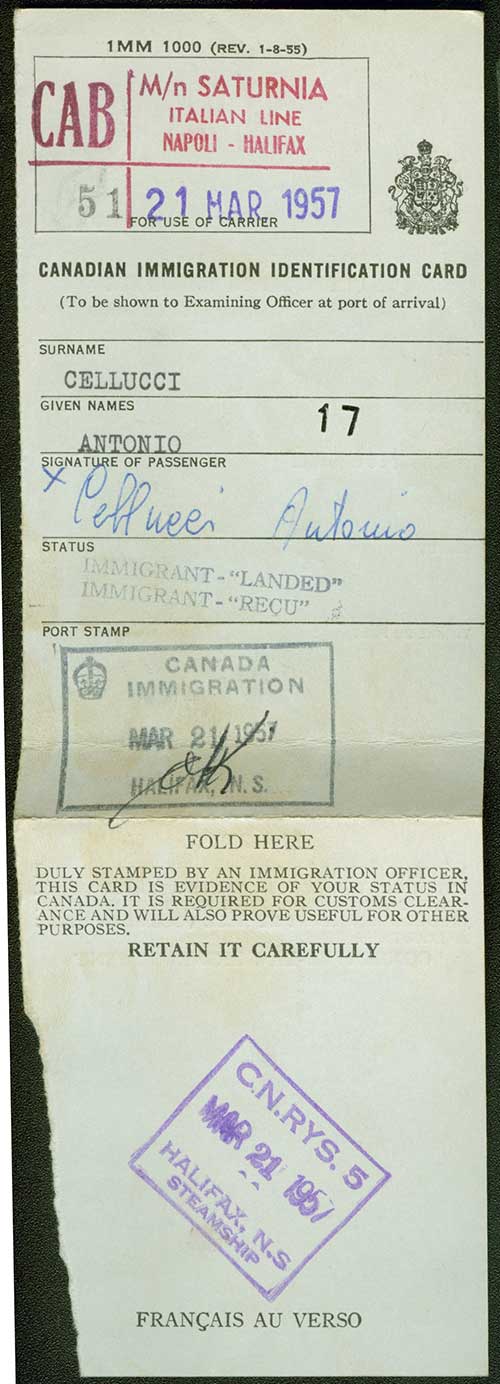 Carte d’identité d’immigration canadienne délivrée à Antonio Cellucci, 1957. Musée canadien de l’immigration du Quai 21 (DI2013.1782.1).