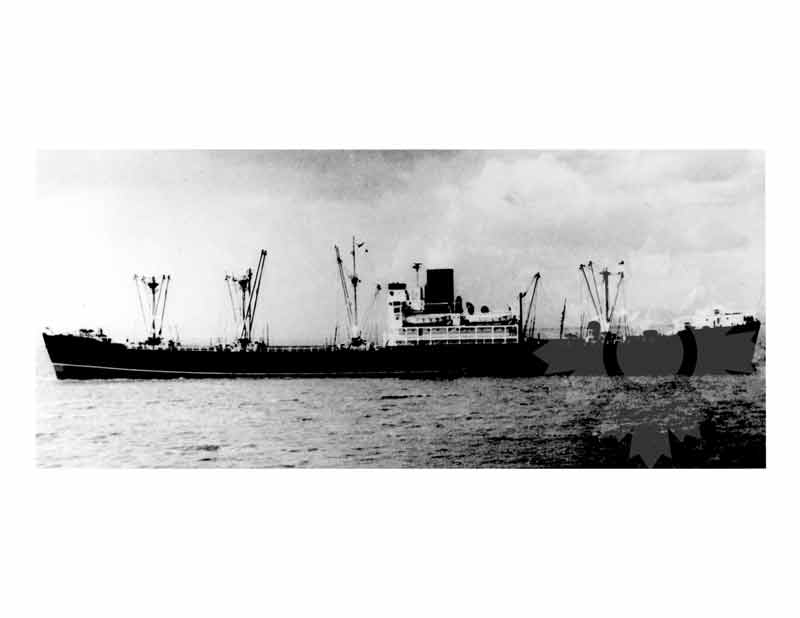 Photo en noir et blanc du navire Egidia (MV) (1945-1962)