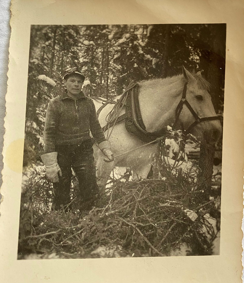 Sépia photo d’un jeune homme dans les bois avec un cheval.