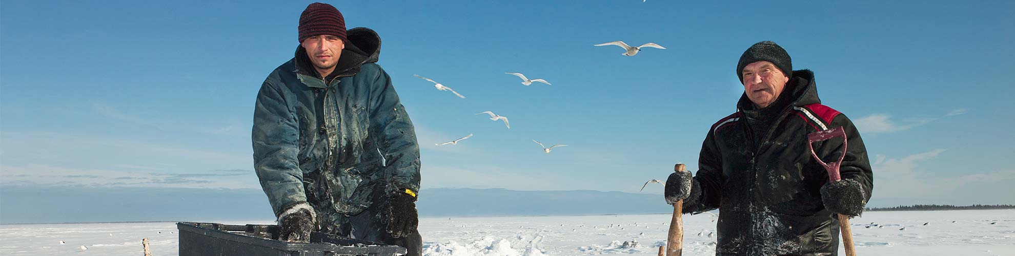 Deux hommes en vêtements d’hiver debout dans la neige, avec des oiseaux blancs volant en arrière-plan.