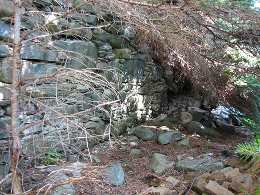 Un édifice abandonné en pierre au milieu de la forêt.