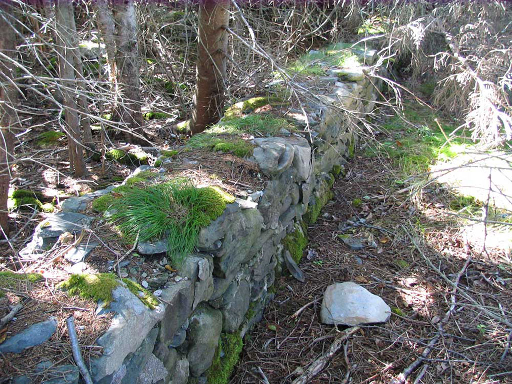 Un mur de pierre couvert de mousse et de branches tombées.