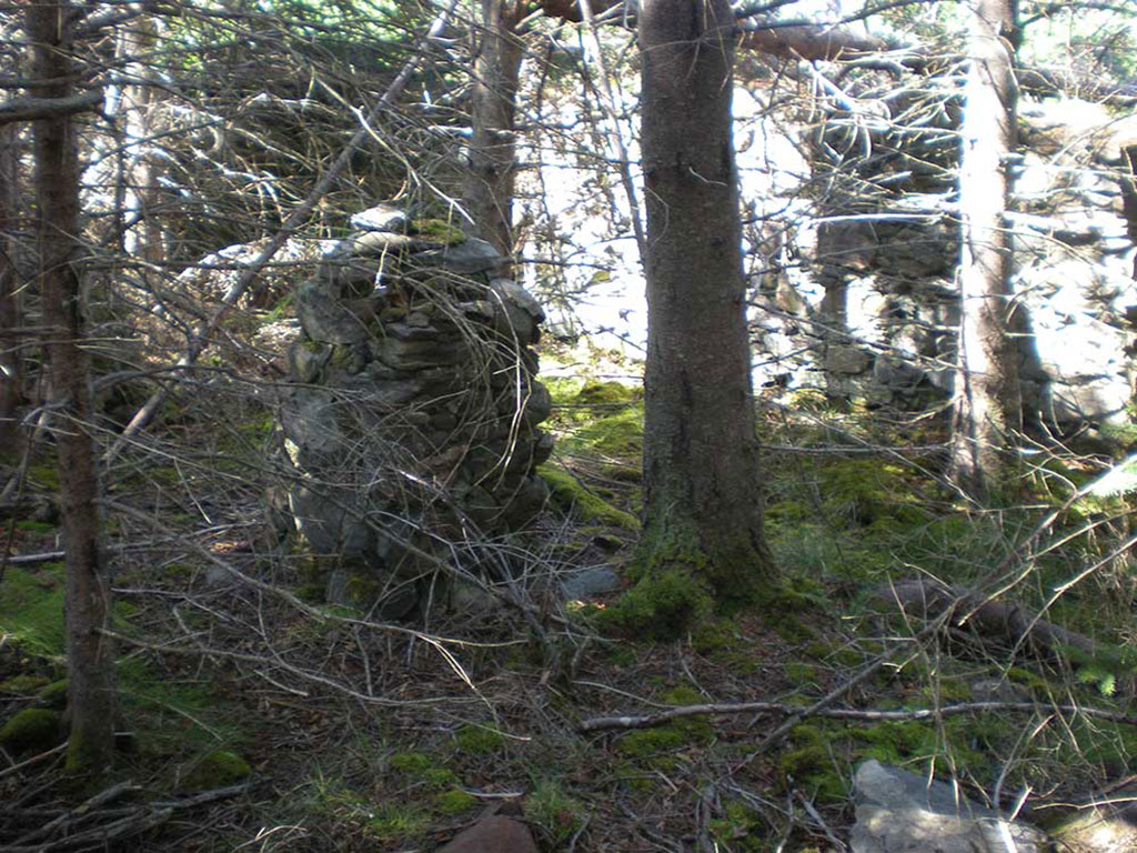 De vieilles structures en pierre au milieu du bois.