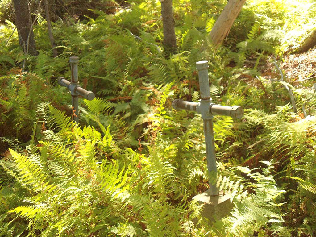 Deux croix qui sortent des fougères dans une forêt.