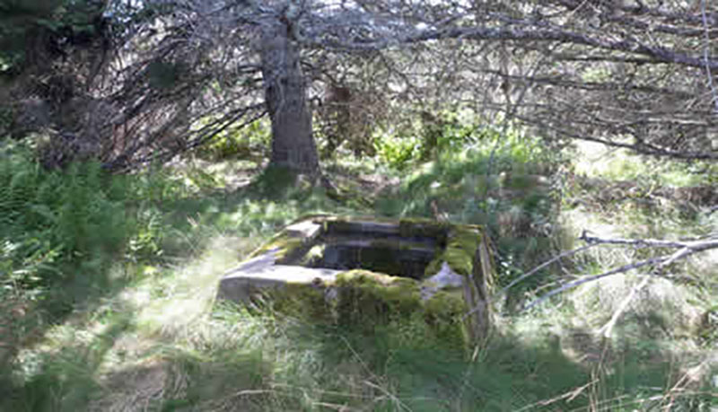 Un puits abandonné couvert de mousse et d’herbe.