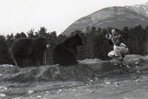 Un homme s’agenouille pour photographier deux grands ours noirs.