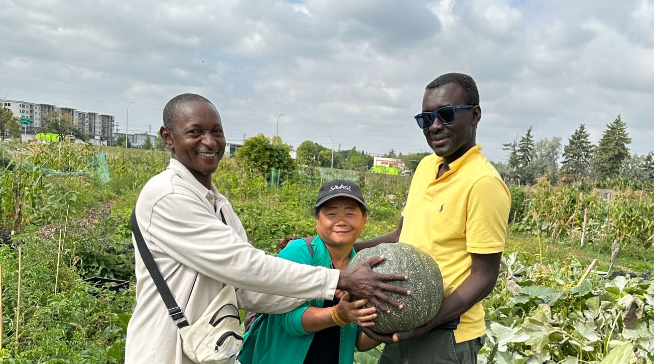 Deux grands hommes africains et une petite femme asiatique tiennent une courge verte dans un grand jardin potager avec des immeubles d’habitation en arrière-plan.