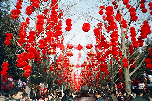 Des centaines de lanternes rouges sont accrochées aux arbres, au-dessus d'une foule