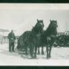 Les chevaux de trait d’Ed Smith, à la ferme de Lipton. Musée canadien de l’immigration du Quai 21 (DI2013.1641.1).