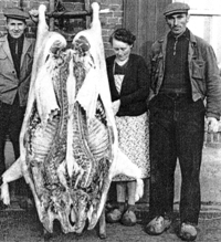 Deux hommes et une femme entourant une carcasse d’animal pendue.