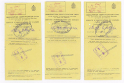 Trois cartes jaunes indiquant Immigration Identification Card (Carte d’identité de l’immigration).