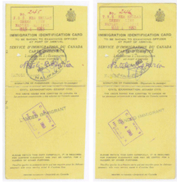 Deux cartes jaunes indiquant Immigration Identification Card (Carte d’identité de l’immigration).