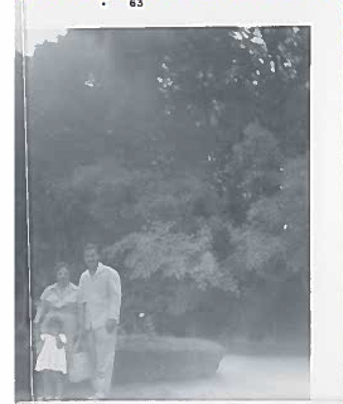 Un couple se tient devant un arbre avec un petit enfant.