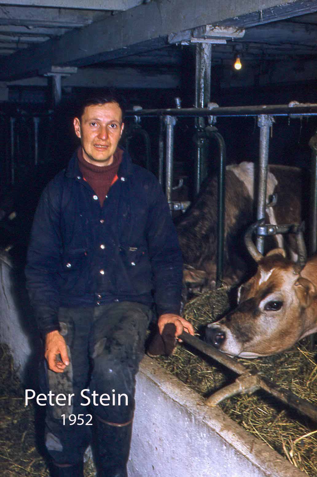 Un homme slovaque souriant pose dans une étable à côté d’une vache.