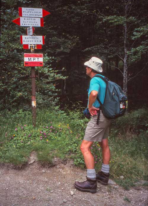 A man looks at directional signs with many place names on them.