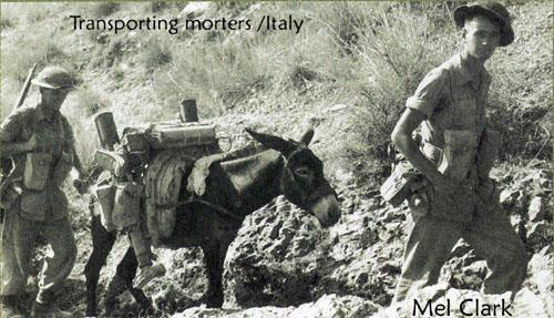 Deux jeunes hommes portant un uniforme doux voyageant sur la montagne en mettant des trucs sur l’âne.