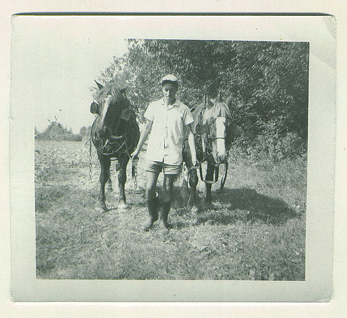 Un jeune homme en chemise blanche et casquette marche à travers un champ menant deux chevaux.