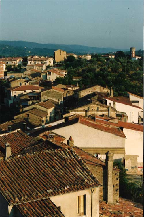 Vue panoramique d’une petite ville avec des toits et des arbres visibles.