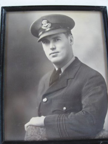 Portrait de jeune homme dans la force aérienne uniforme